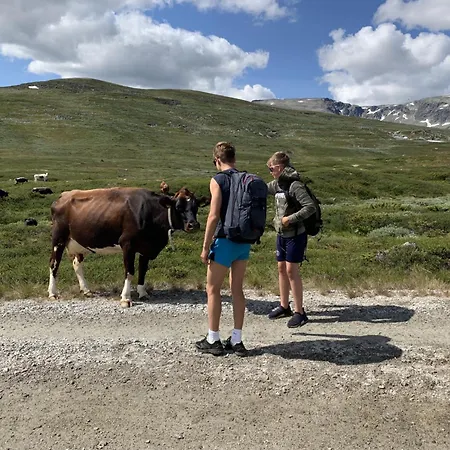 Apartment Geilotunet - Perfekt Beliggenhet, Sentralt, Langs Elven, 6 Personer Geilo