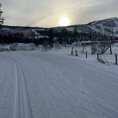 Geilotunet - Perfekt Beliggenhet, Sentralt, Langs Elven, 6 Personer Geilo