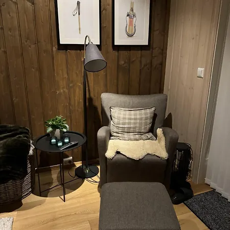 Geilotunet - Perfekt Beliggenhet, Sentralt, Langs Elven, 6 Personer